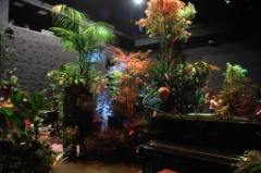 Jardin Ephemere 14 * 6240 x 4160 * (9.21MB)